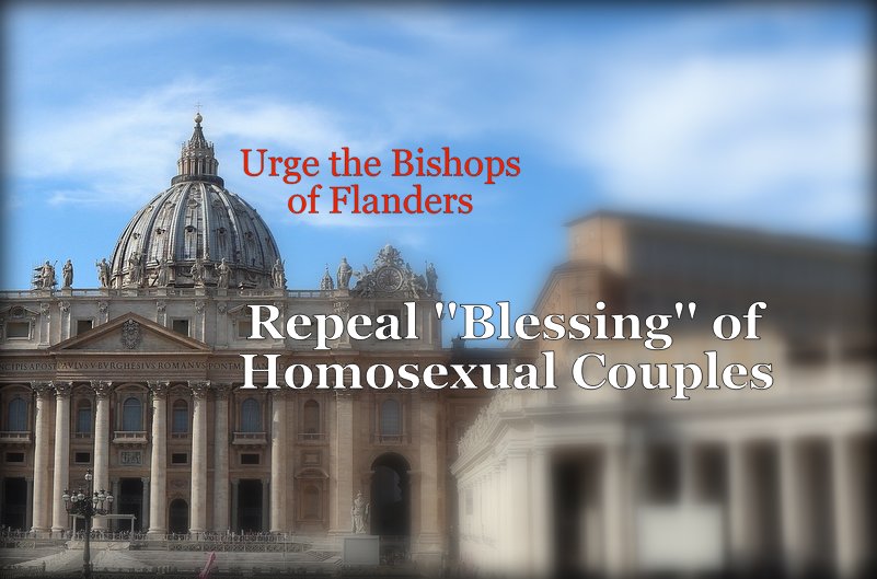 urge-bishops-flanders-repeal-homosexual-blessing-couples